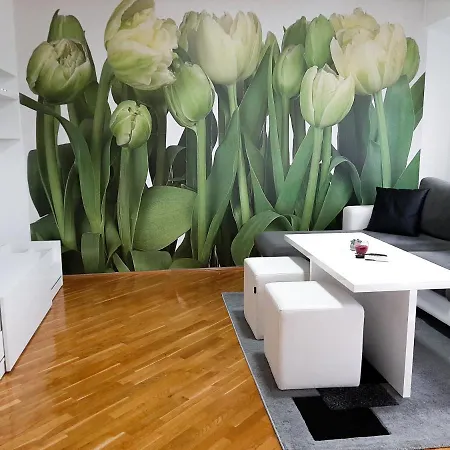 Apartman Cesko דירה